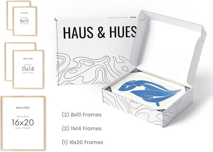 HAUS AND HUES Picture Frame Set - Set of 5 Wall Frames Collage Set, Collage Photo Frames, Natural Wood Picture Frames, Gallery Wall Decor, (Two 8x10, Two 11x14, One 16x20 Framed Beige)