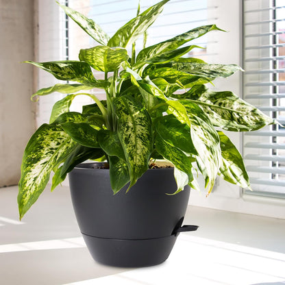 10/9/8 inch Medium Self Watering Pots, Plant Pots with Mesh Drainage Holes for Indoor Outdoor Garden Plants, Flower Pots with Removable Deep Reservoir, Set of 3 Plastic Planters, Black