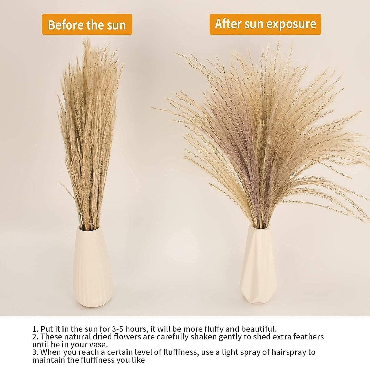 65PCS Pampas Grass Decor, Including pompas Floral, Reed Dried Grass and Bunny Tails Dried Flowers, Natural Dried Pampas Grass Bouquet for Boho Decor Wedding, Home Decoration