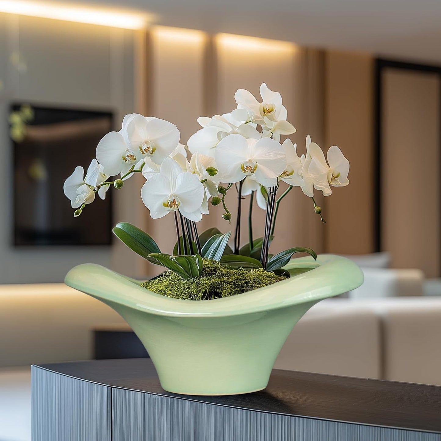 Ceramic Bonsai Pots - Large Succulent Planter 13 Inch Plant Pot Indoor Succulent Pot with Drainage Hole Outdoor Planter Bonsai Tree Pot for House Home Garden Office Decor Green