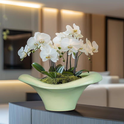 Ceramic Bonsai Pots - Large Succulent Planter 13 Inch Plant Pot Indoor Succulent Pot with Drainage Hole Outdoor Planter Bonsai Tree Pot for House Home Garden Office Decor Green