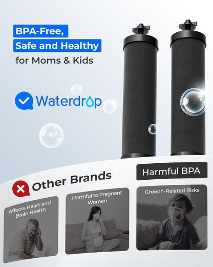 [New Upgraded Ultrafiltration] Waterdrop Black Water Filter, Replacement for Berkey® BB9-2® Black Purification Elements, Berkey® Gravity Water Filter System, 2 Pack