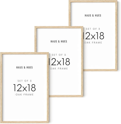 HAUS AND HUES Standalone Beige Oak Frame Set of 3-12x18