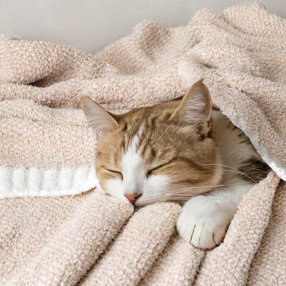 MIULEE Beige Super Soft Throw Blanket for Bed, Twin Size Cozy Fluffy Warm Blankets Knit Blankets for Couch, Sofa, Chair, Living Room, Camping, Picnic, 60 x 80 inch