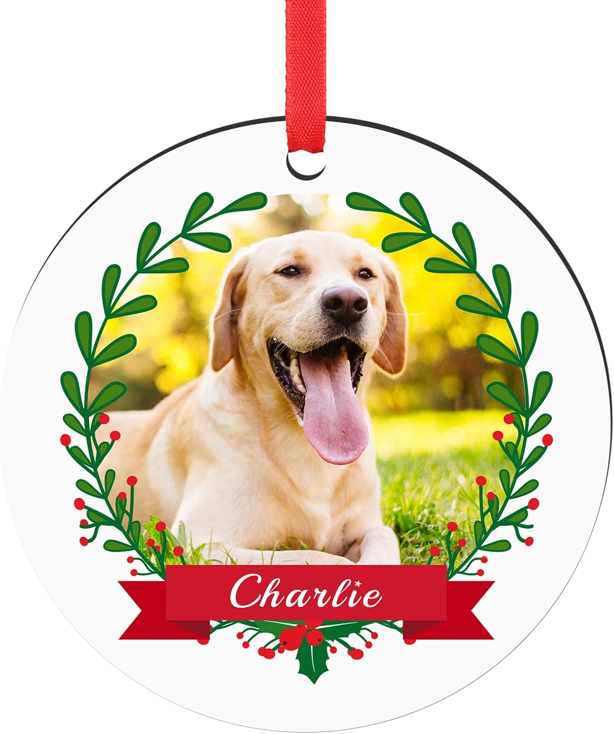 Personalized Christmas Ornaments 2025 Pet Memorial Gifts for Christmas Tree Custom Dogs Picture Photo Name Ornament Customized Cat Pet Xmas Decoration Gifts
