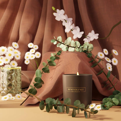 Benevolence LA Eucalyptus & Chamomile Scented Candle | Soy Candles, Black Candle for Home | Gifts for Women and Men | Home Fragrance | Aromatherapy | 8oz, 45 Hour Burn