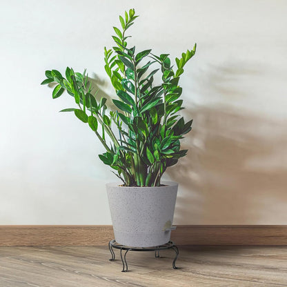 Self Watering Pots for Indoor Plants,12 inch Planters with Drainage Holes Plastic Flower Pots with Deep Reservoir, White Speckles