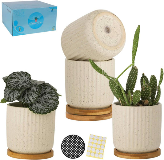 TAMAYKIM 4 Inch Ceramic Plant Pots with Drainage Holes, Modern Flower Planter with Saucer for Indoor Plants, Succulent, Cactus & Herbs, Beige, Set of 4 (Plants Not Included)