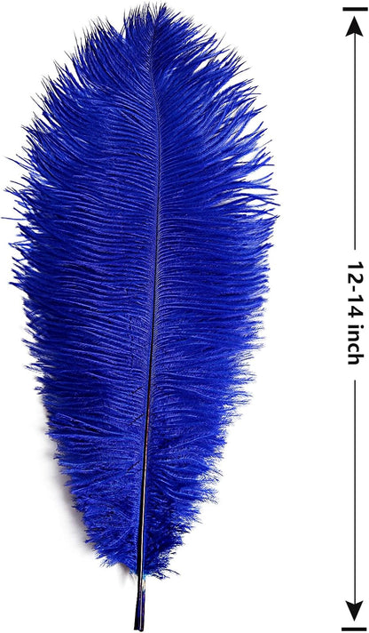 THARAHT Blue Ostrich Feathers 12pcs Large Natural Bulk 12-14Inch 30cm-35cm for Wedding Party Centerpieces Halloween and Home Decoration Feathers