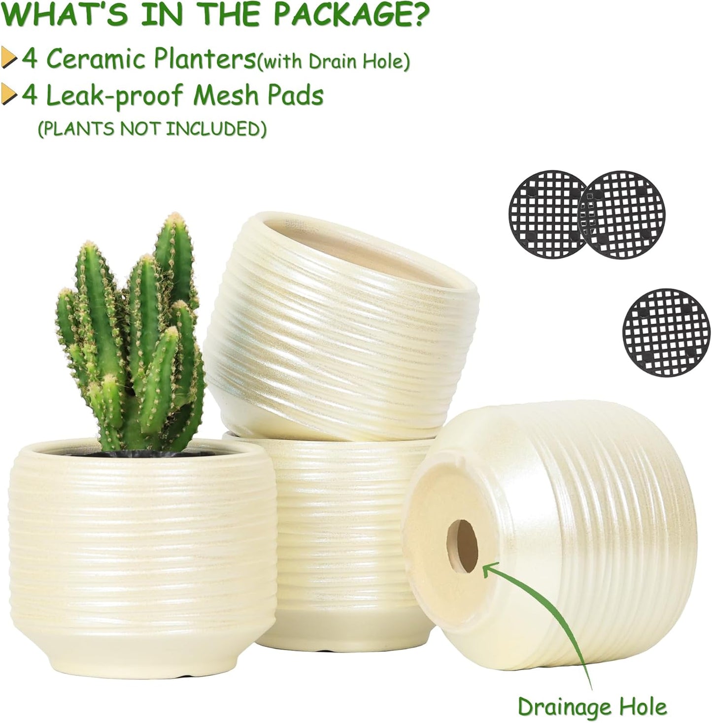 Mini Succulent Planter Set – 3.7 Inch Ceramic Pots with Drainage for Indoor Plants, Small Decorative Flower Pots for Cactus and House Plants, Set of 4