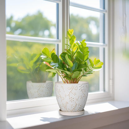 6 Inch Ceramic Plant Pot for Indoor Plants Outdoor Round Planter Flower Pot with Drainage Hole and Saucer for Home Garden Office Decor White