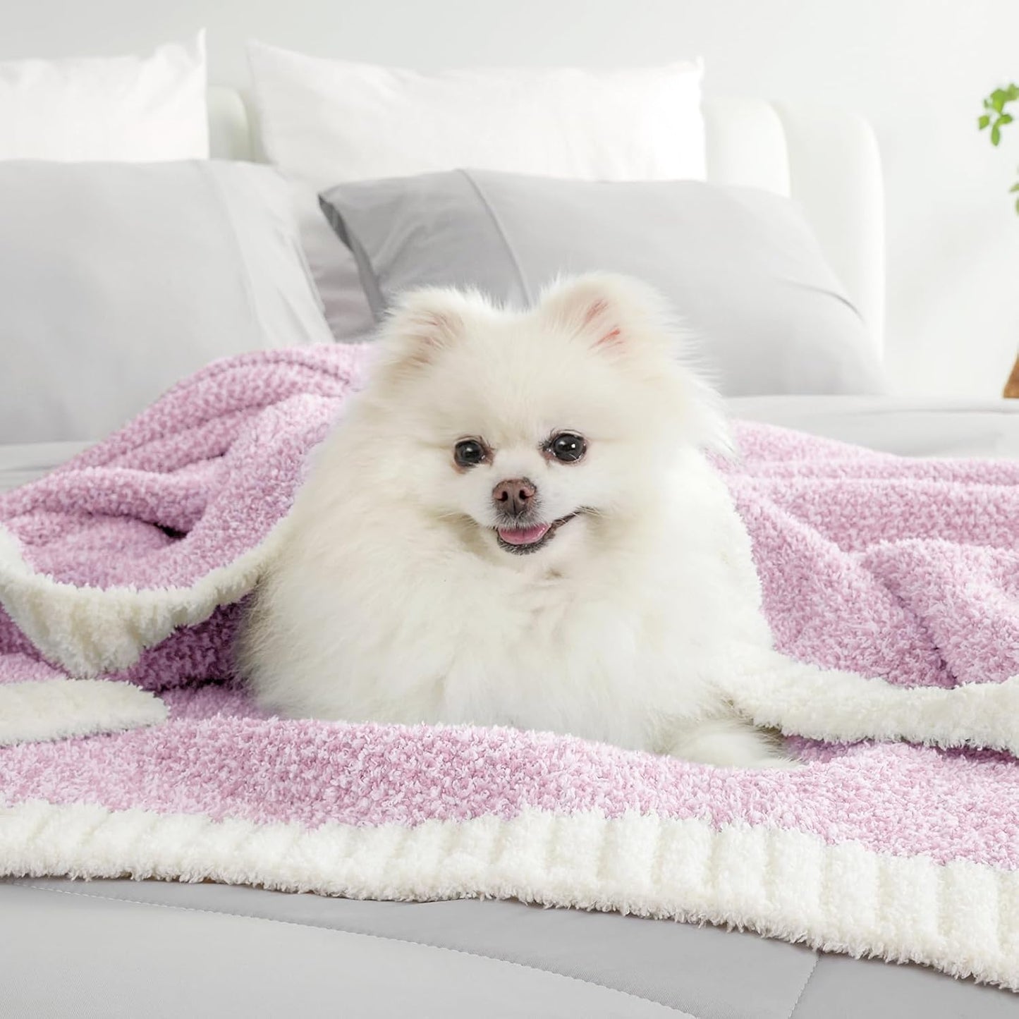 Snuggle Sac Bedding Blanket Light Purple Twin Size, Super Soft Warm Cozy Blankets for Bed, Living Room, Luxurious Microfiber Blanket Dupes, Heather Lilac, 60x80 inches