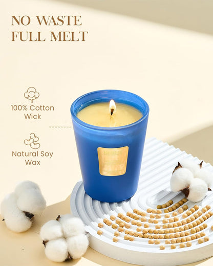 M&SENSE Peaceful Patchouli Scented Natural Soy Wax Candle, 14.1oz 60 Hours Long Lasting Slow Burning Candles for Home Decor, Aromatherapy Candle for Stress Relief