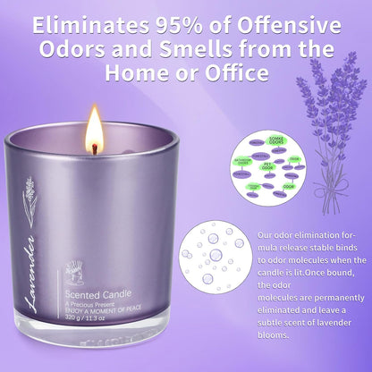 Lavender Candles for Home Scented, 2 Pack 23oz Large Jar Aromatherapy, Highly Fragranced Scented Candle Set, Candles Gifts for Women, Mom, Healing & Luxury Candle for Home