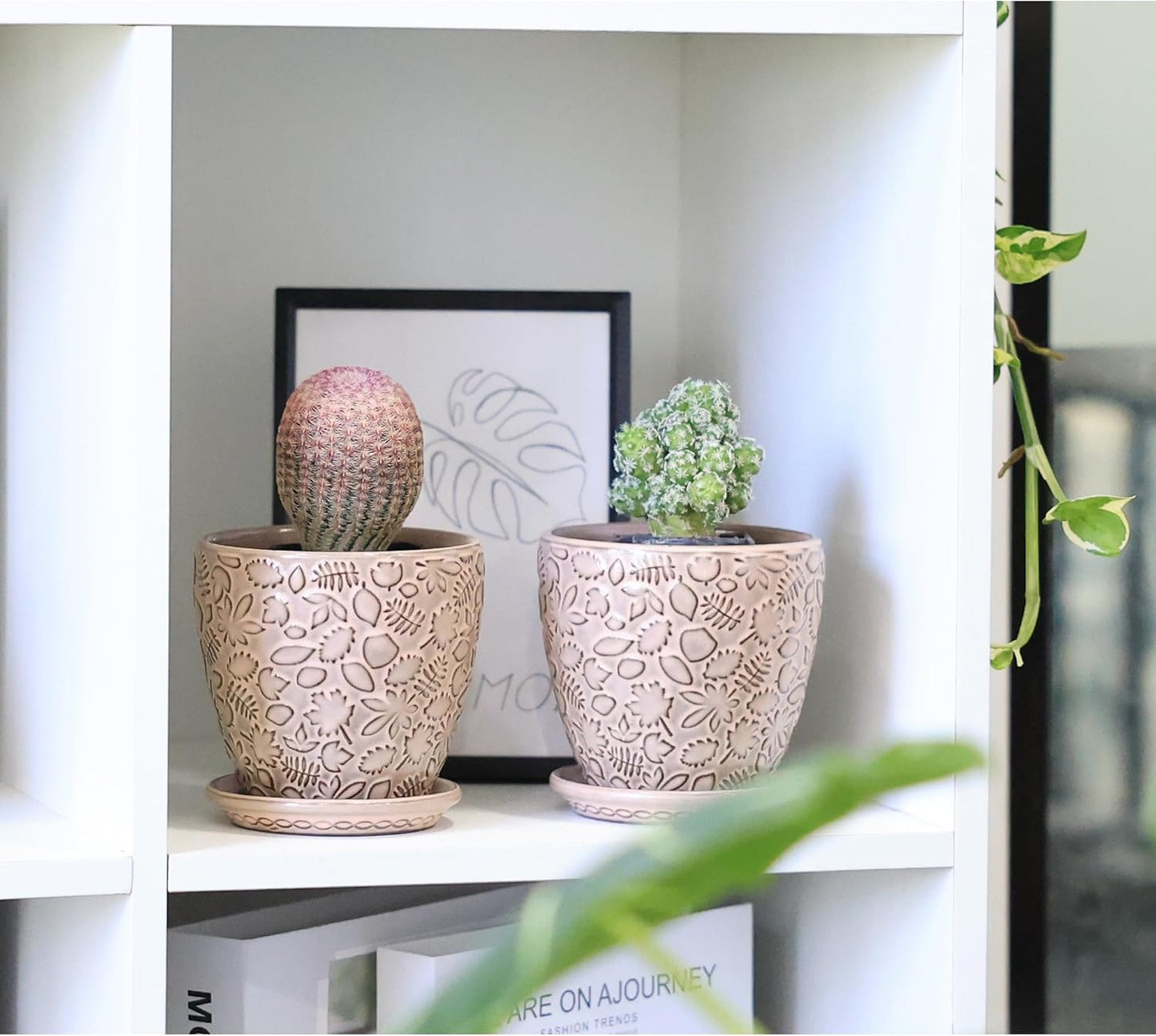 4 Inch Mini Plant Pots, Ceramic Succulent Planter with Drainage Hole and Saucers for Indoor Plants, Small Garden Pots for Succulent, Herb and Flower, Set of 4