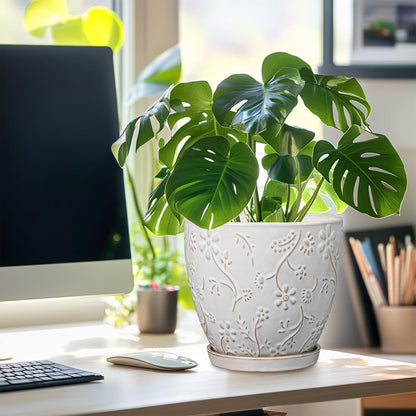 8 Inch Ceramic Pots for Plants Large Planter Pot with Drainage Hole and Saucer Round Flower Pot for Indoor Outdoor Decor, White