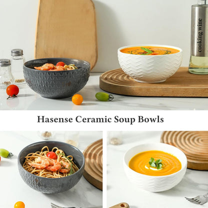 Hasense 26 OZ Soup Bowls, Ceramic Cereal bowls Set of 2 for Kitchen, Embossed Stoneware Porcelain Salad Bowls for Soup, Cereal, Oatmeal, Fruit, Microwave Dishwasher Safe, White And Gray