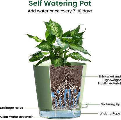 6 inch Self Watering Pots for Indoor Outdoor Plants, 3 Pack Flower Plant Pots with Drainage Holes and Clear Reservoirs, Visible Water Level, Plastic Planters with Wicking Rope, Green