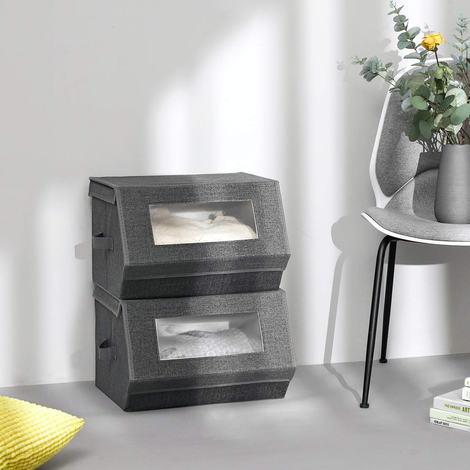 SONGMICS Stackable Storage Bins, Set of 2, with Lids and Front Windows