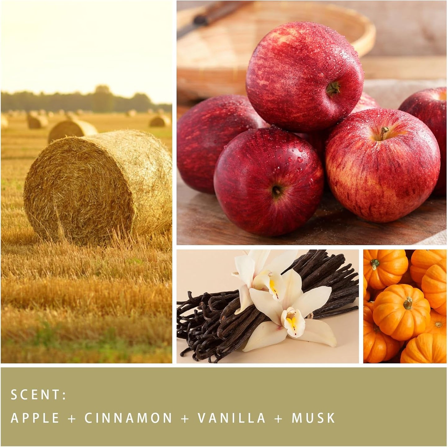 Fall Candle - Harvest Season Scented Candle, Fall Soy Candles for Home Decor, 7 oz Natural Soy Wax – Long-Lasting Autumn Candles, Aromatherapy Gift for Women & Thanksgiving, 7oz