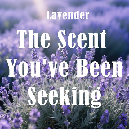 Lavender Scented Candles for Women, 60 Hours Aromatherapy Candle, Soy Candles for Home Scented, Birthday Gifts Mothers Day Candle for Home