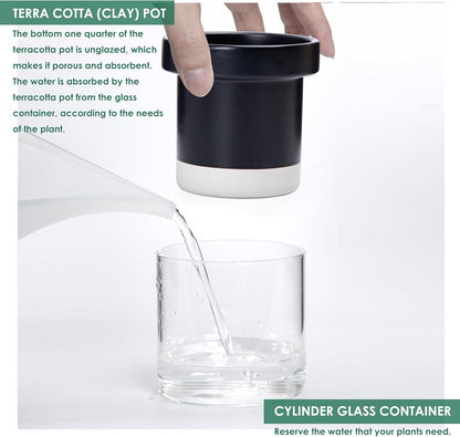 Phoenix Vine 4 Inch Self Watering Planter Pot, Black Terracotta Clay Pot with Glass Reservoir for Indoor Plants, Herbs, Flowers, Set of 2, 52-C-E-2