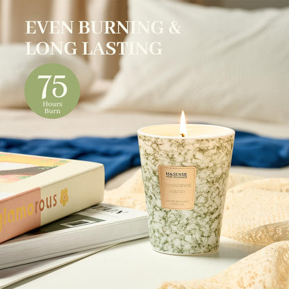 M&SENSE SandalWood Jasmine Scented Candles for Home, Lead-free Wick Highly Scented Jar Candles, 14.1 Oz 80 Hours Lasting Burning Candles Gifts for Women, Relaxing Aromatherapy Candle for Stress Relief