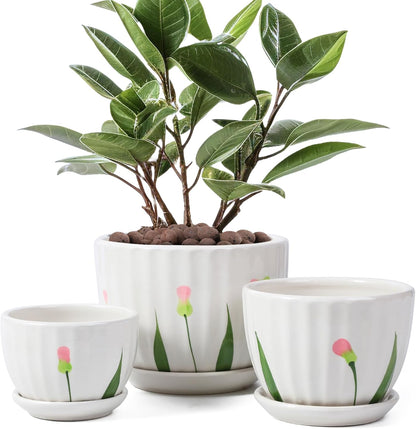 Ceramic Plant Pots with Drainage Holes and Saucers, Round White Flower Pots for Indoor Plant, Diameter 3.3/4.3/5.5 Inches Small Flower Planters Set of 3
