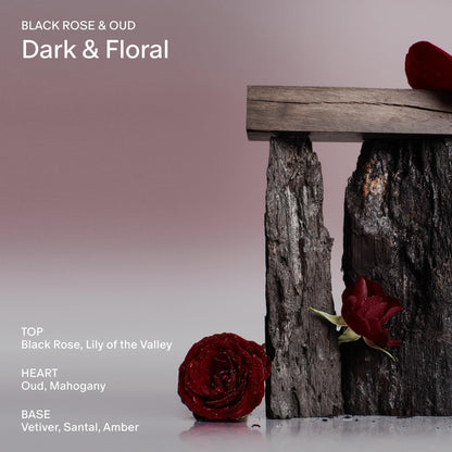 SALT & STONE Scented Candle for Women & Men | Hand-Poured, Aromatic & Fragrant | Coconut & Soy Blend Wax | 100% Cotton Wick | Long-Lasting 50 Hour Burn Time (8.5 oz) (Black Rose & Vetiver)