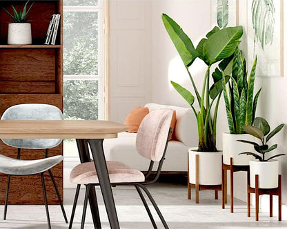 Fox & Fern Matte White Plant Pots with Drainage Plug (Set of 3) — Premium Lightweight Fiberstone 8, 10, and 12 Inch Planters for Indoor and Outdoor Use; Weather Resistant & UV Resistant