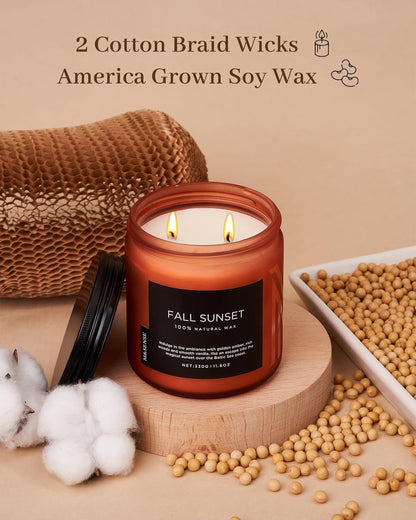 M&SENSE Baltic Amber Scented Candle, 11.6oz Clean Natural Soy Wax Non Toxic Up to 70 Hours Burn Time 2 Cotton Wick Housewarming Candle for Home Scented