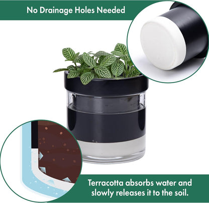Phoenix Vine 4 Inch Self Watering Planter Pot, Black Terracotta Clay Pot with Glass Reservoir for Indoor Plants, Herbs, Flowers, Set of 3, 52-C-E-3