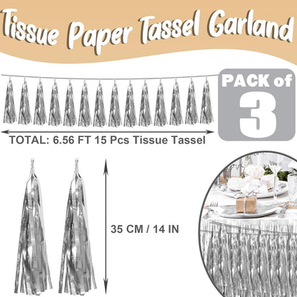 3P Silver Foil Fringe Metallic Tassel Streamers Banner Tassel Garland for Parade Floats, Bachelorette, Wedding, Birthday, Halloween, Christmas, Bridal/Baby Shower Party Decorations