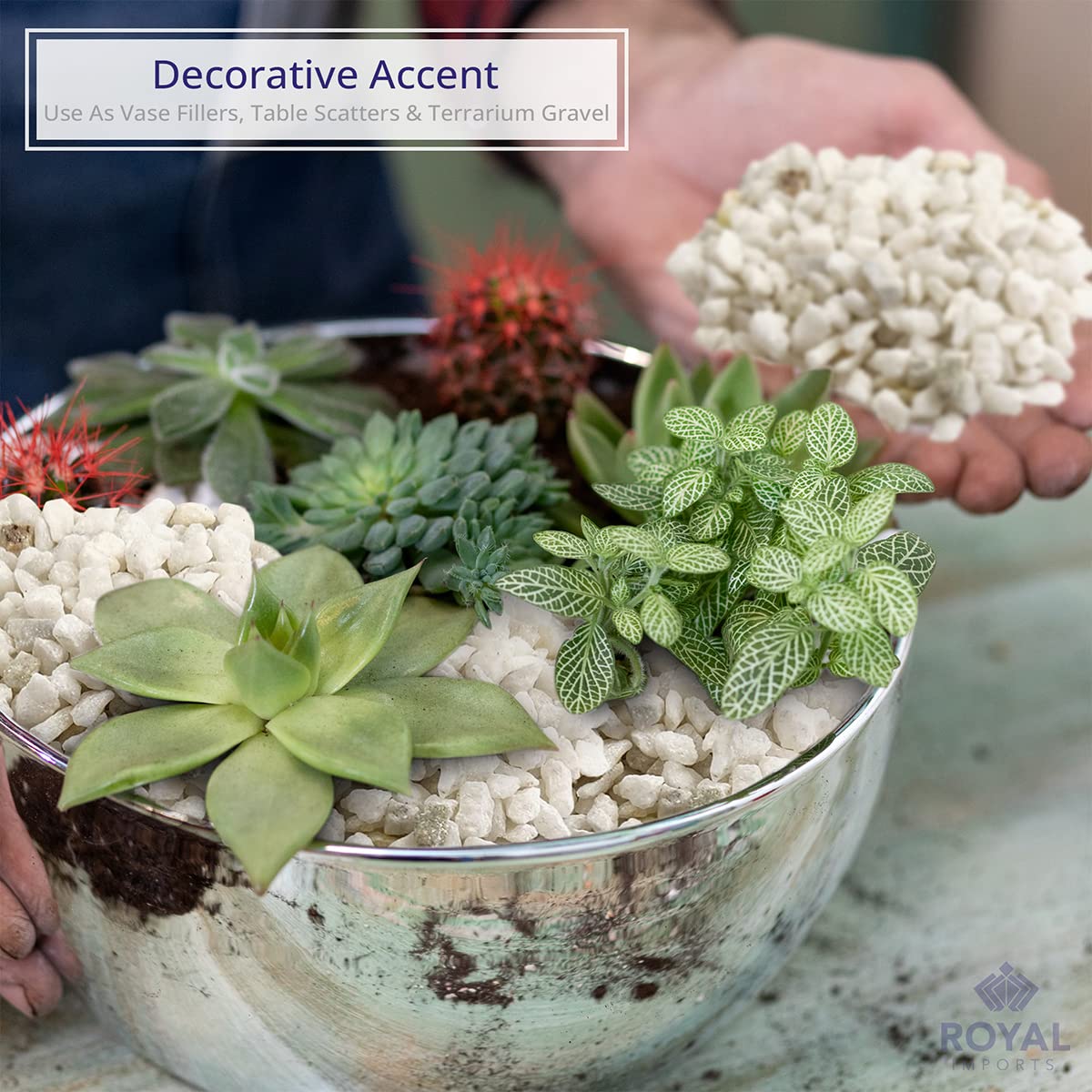 Royal Imports 5LBS River Pebbles Decorative Ornamental Rocks, Garden Landscaping Stones, Gravel Filler for Plants, Vases, Succulents, Home Decor, Aquariums, Crafting, Animal Habitat - Mini White