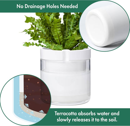 Phoenix Vine 8 Inch Self Watering Planter, White Terracotta Clay Pot with Glass Reservoir for Indoor Plants, Herbs, Flowers, Set of 1, 52-B-H-1