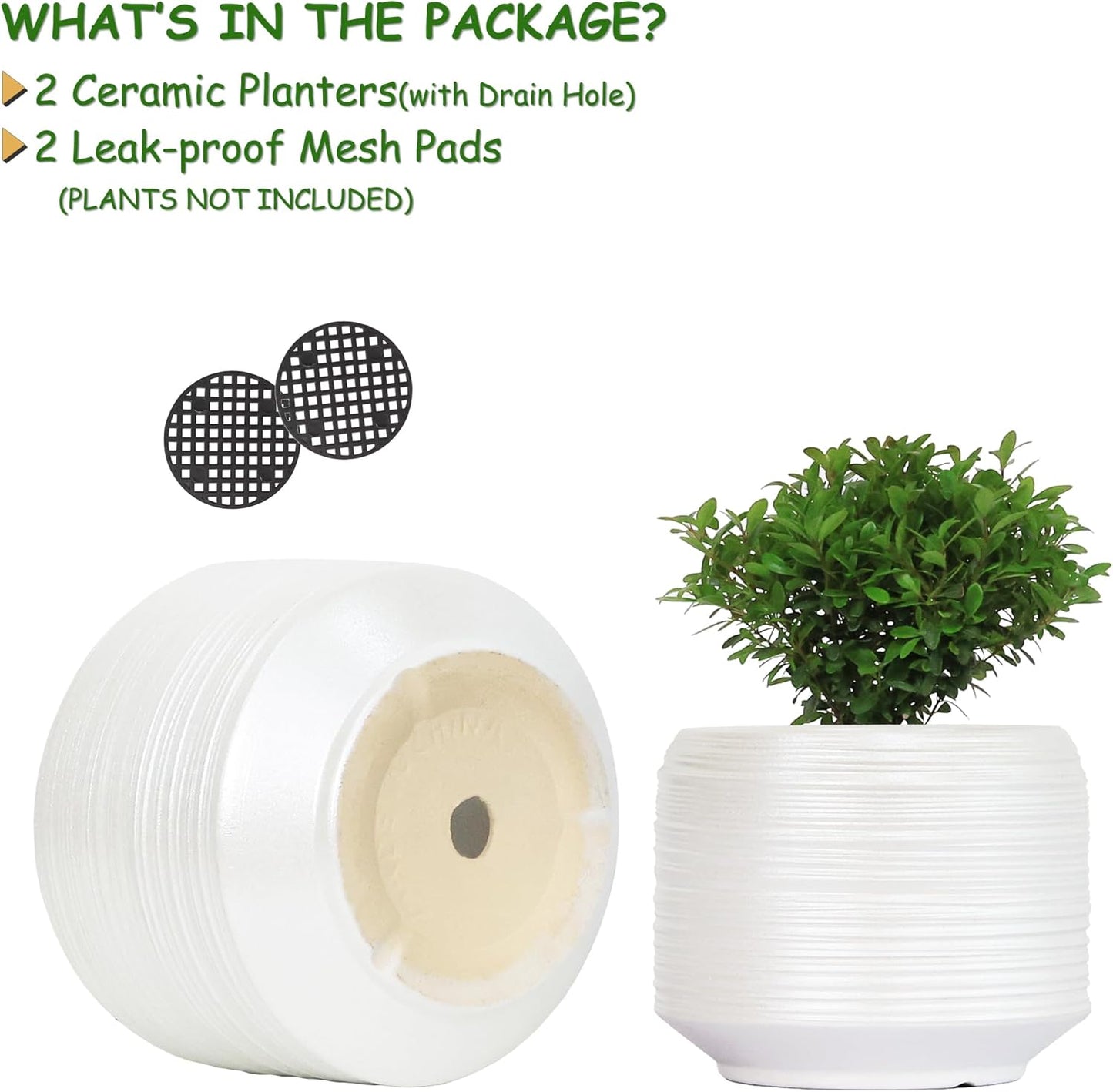 8 Inch + 6 Inch Ceramic Plant Pots Indoor with Drainage – Flower Pot Set, Decorative Indoor Planters for House Plants and Garden Use