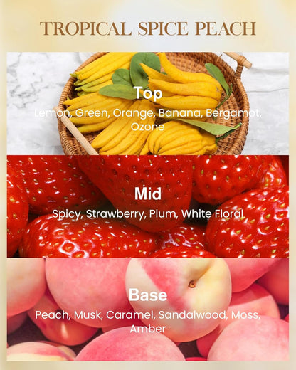 M&SENSE Tropical Spice Peach Scented Candle Home Decor, Natural Soy Wax,4.1oz 60 Hours Long Lasting Slow Burning, Aromatherapy Candle for Stress Relief