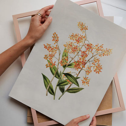 Set Of 9 French Country Prints Wall Decor - Landscape Wall Art French Country Decor, Vintage Wall Decor Gallery Wall Art, Large Bathroom Art Prints, Farmhouse Floral Vintage Art(11X14 IN UNFRAMED)