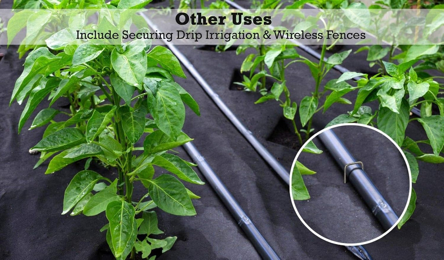 Sandbaggy 6 inch Landscape Sod Staples (9 Gauge Steel) ~ Great for Hard Soil - 20% Thicker Than Competition - Trusted by Farmers & Contractors Across USA (200 Staples)