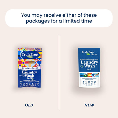 Laundry Detergent for Sensitive Skin | Gentle & Safe for Baby Clothes | Plant-Based | 6 Pack Refill Powder | Easy to Dissolve to Create a Liquid | Signature Scent (300 Loads)