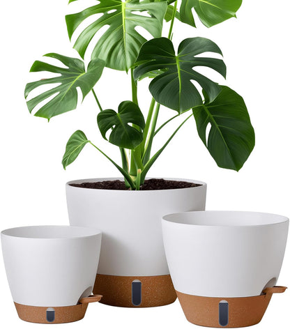 montresor 12/10/8 Inch Self Watering Pots for Indoor Plants Plastic Large Pot for Outdoor Plants, Water Level Window & Spacious Reservoir Flower Pots Decorative Planter with Drainage and Tray (White)