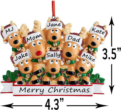 Personalized Christmas Ornaments 2025 Family of 2/3/4/5/6/7/8 Deer Christmas Ornaments Custom Name Customized Gifts for Xmas Tree,Family of 5