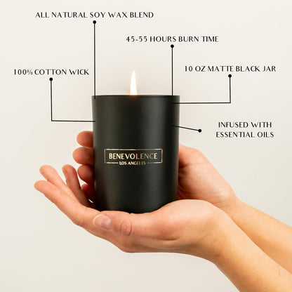 Benevolence LA Black Berries (Baies) Scented Candle | Soy Candles, Black Candle for Home | Gifts for Women and Men | Home Fragrance | Aromatherapy | Bathroom Freshener | 10oz