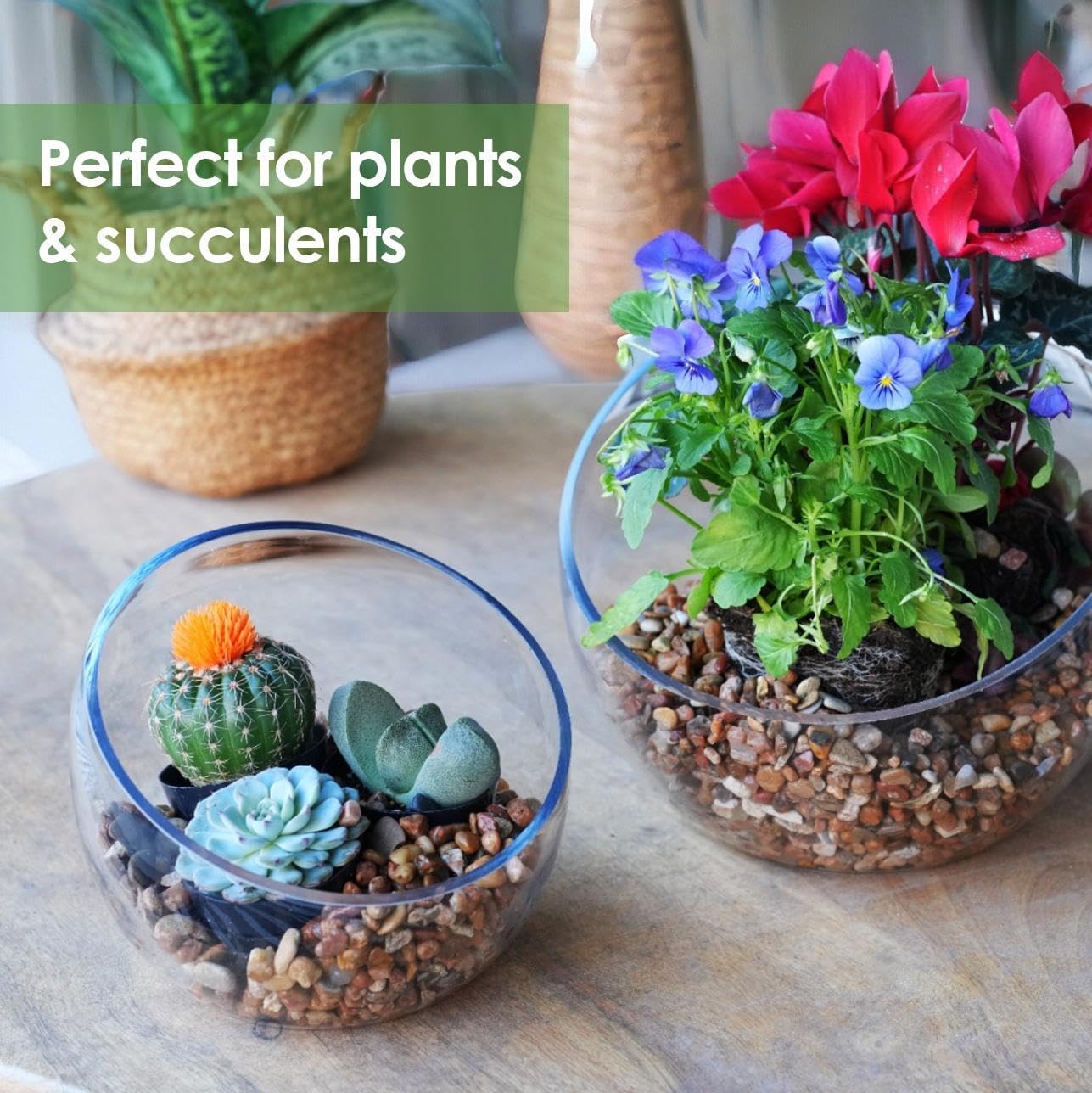 Craft And Party, Slant Cut Bowl Glass Vase, Glass Fish Bowl Vase, 8.5" Height x 10" Width Fruit Jar, Candy Dish, Clear Terraium, Flower Vase Centerpiece