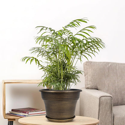 Plant Planters Pots Set of 4 Pack 10 Inch, Plastic Flower Pot for Indoor Plants with Drainage Holes & Trays, Resin Decorative Container Sets with Saucer for House Outdoor Garden Planters Dark Gold