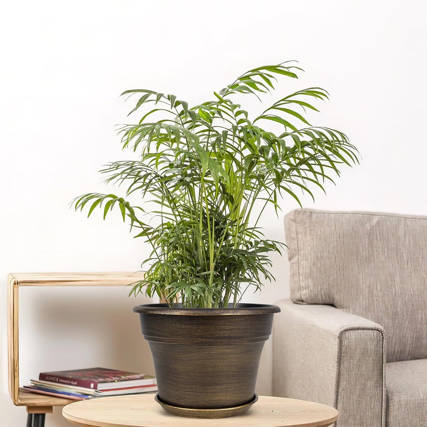 Plant Planters Pots Set of 6 Pack 6 Inch, Plastic Flower Pot for Indoor Plants with Drainage Holes & Trays, Resin Decorative Container Sets with Saucer for House Outdoor Garden Planters Dark Gold