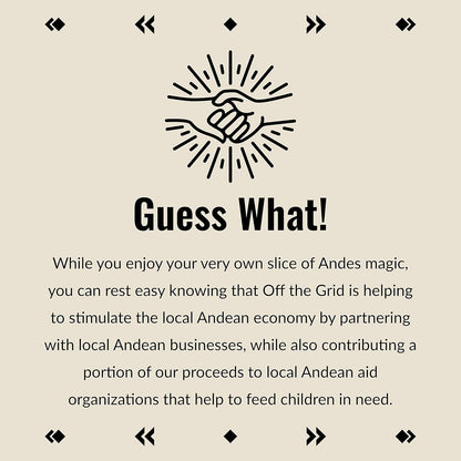 Inca Aztec Throw, Queen, King Blanket | Southwest Indian Navajo Boho Style | Native Cover for Camping, Bedding, Couch, Vanlife | Faux Alpaca, Lightweight, Hypoallergenic (Condor Gray, Throw)