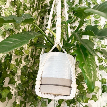 6 Inch Plant Pots, Ceramic Planter Pot with Drainage Hole & Saucer, Indoor/Outdoor Cylinder Round Planter Pot, White & Beige Glaze