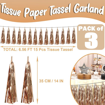 3P Champagne Gold Foil Fringe Metallic Tassel Streamers Banner Tassel Garland for Parade Floats, Bachelorette, Wedding, Birthday, Halloween, Christmas, Bridal/Baby Shower Party Decorations