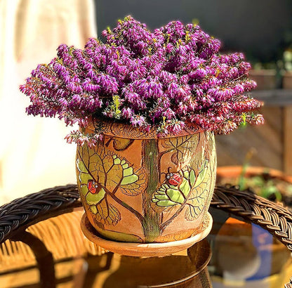 Ceramic Pot with Drainage Hole and Saucer, Plant Pots, Modern Decorative Planters for House Plants Indoor Flowers Plants, Cute Flower Pot - Gifts (Ladybugs (1.6 L))